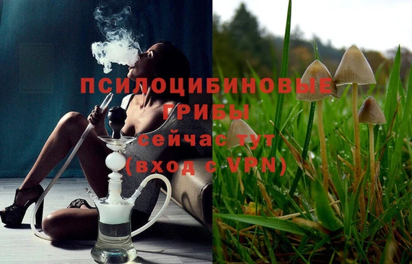 спайс Армянск