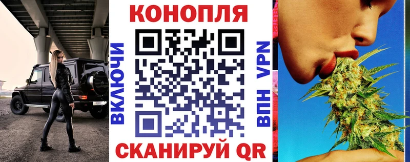 Конопля сатива  Кувшиново 